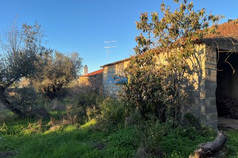 Farm hus i Castelo Branco, Castelo Branco, Castelo Branco - € 350.000 | Ref: 125127 - foto 15