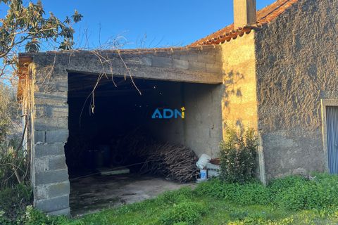 Farm hus i Castelo Branco, Castelo Branco, Castelo Branco - € 350.000 | Ref: 125127 - foto 16