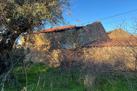 Farm hus i Castelo Branco, Castelo Branco, Castelo Branco - € 350.000 | Ref: 125127 - foto 18