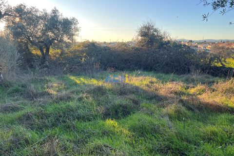 Farm hus i Castelo Branco, Castelo Branco, Castelo Branco - € 350.000 | Ref: 125127 - foto 20