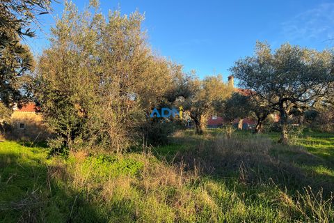 Farm hus i Castelo Branco, Castelo Branco, Castelo Branco - € 350.000 | Ref: 125127 - foto 22
