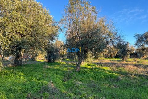 Farm hus i Castelo Branco, Castelo Branco, Castelo Branco - € 350.000 | Ref: 125127 - foto 24