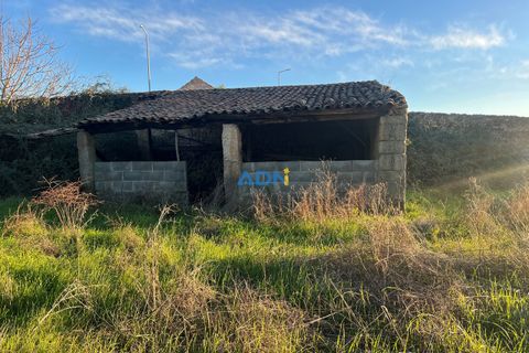Farm hus i Castelo Branco, Castelo Branco, Castelo Branco - € 350.000 | Ref: 125127 - foto 25