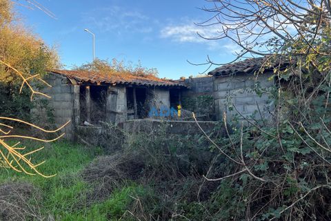 Farm hus i Castelo Branco, Castelo Branco, Castelo Branco - € 350.000 | Ref: 125127 - foto 26