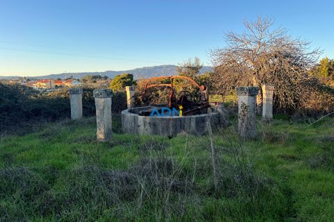 Farm hus i Castelo Branco, Castelo Branco, Castelo Branco - € 350.000 | Ref: 125127 - foto 29