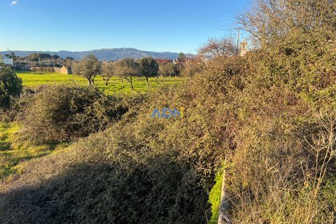 Farm hus i Castelo Branco, Castelo Branco, Castelo Branco - € 350.000 | Ref: 125127 - foto 39