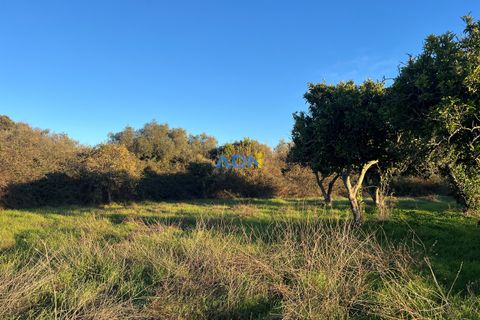 Farm hus i Castelo Branco, Castelo Branco, Castelo Branco - € 350.000 | Ref: 125127 - foto 40