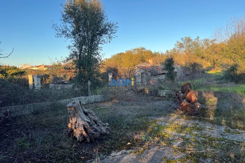 Farm hus i Castelo Branco, Castelo Branco, Castelo Branco - € 350.000 | Ref: 125127 - foto 43