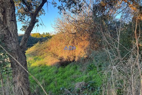 Farm hus i Castelo Branco, Castelo Branco, Castelo Branco - € 350.000 | Ref: 125127 - foto 44