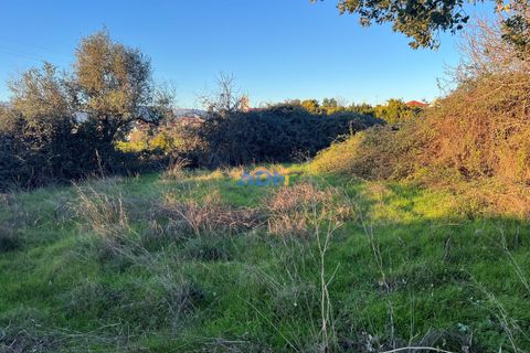 Farm hus i Castelo Branco, Castelo Branco, Castelo Branco - € 350.000 | Ref: 125127 - foto 45
