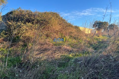Farm hus i Castelo Branco, Castelo Branco, Castelo Branco - € 350.000 | Ref: 125127 - foto 46