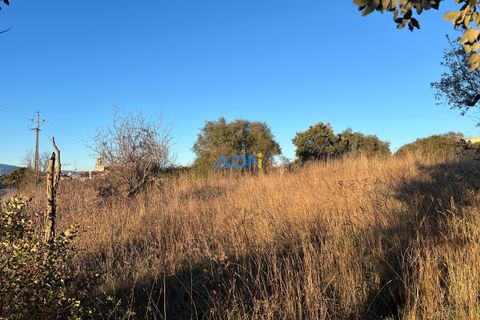 Farm hus i Castelo Branco, Castelo Branco, Castelo Branco - € 350.000 | Ref: 125127 - foto 50