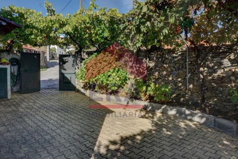 Villa a Proenca-a-Nova, Castelo Branco, Proenca-a-Nova - € 120.000 | Ref: 130250269 - foto 3