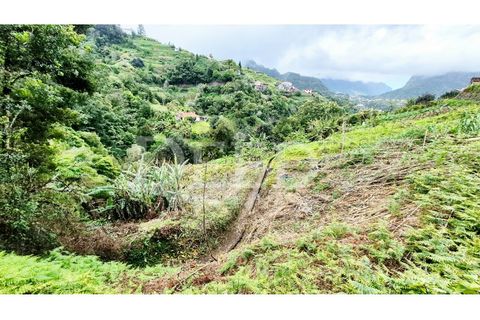 Helårsgrund i Machico, Madeira, Machico - € 65.000 | Ref: DEED/1049 - foto 1