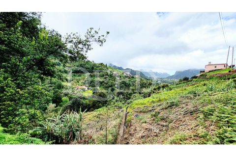 Helårsgrund i Machico, Madeira, Machico - € 65.000 | Ref: DEED/1049 - foto 2