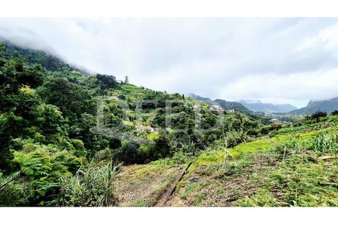 Helårsgrund i Machico, Madeira, Machico - € 65.000 | Ref: DEED/1049 - foto 3