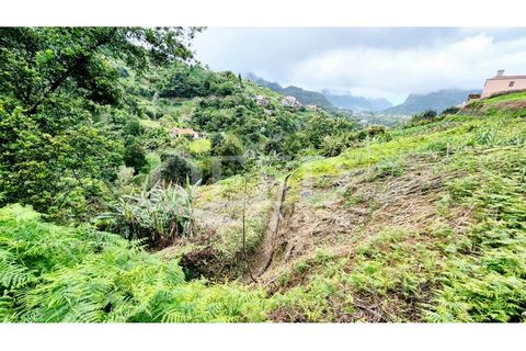 Helårsgrund i Machico, Madeira, Machico - € 65.000 | Ref: DEED/1049 - foto 4