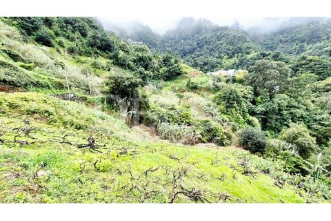 Helårsgrund i Machico, Madeira, Machico - € 65.000 | Ref: DEED/1049 - foto 6
