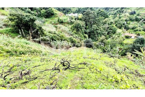 Helårsgrund i Machico, Madeira, Machico - € 65.000 | Ref: DEED/1049 - foto 7