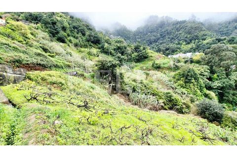 Helårsgrund i Machico, Madeira, Machico - € 65.000 | Ref: DEED/1049 - foto 9