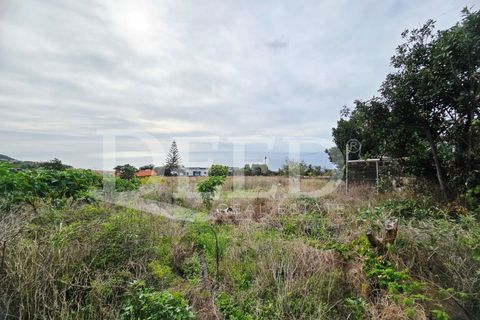 Villa i Calheta, Madeira, Calheta - € 600.000 | Ref: DEED/1045 - foto 27