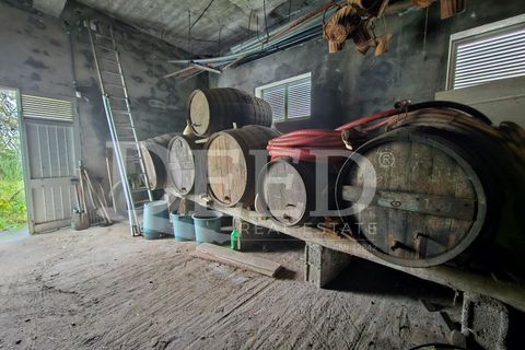 Villa i Calheta, Madeira, Calheta - € 600.000 | Ref: DEED/1045 - foto 25