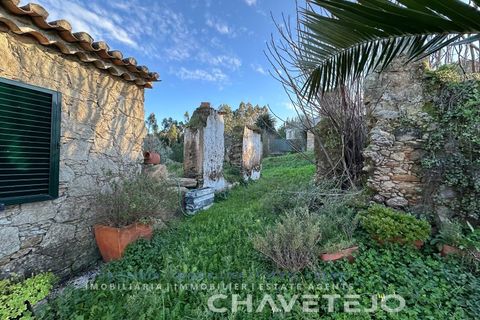 Villa i Serra, Santarem, Serra - € 329.000 | Ref: 503/26 - foto 21
