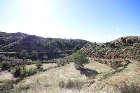 Terra a Abanilla, Murcia, Abanilla - € 35.995 | Ref: GMJ1142 - foto 5
