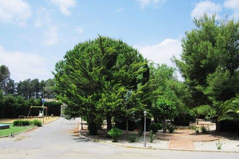Villa i Yecla, Murcia, Yecla - € 590.000 | Ref: PAD1248 - foto 36