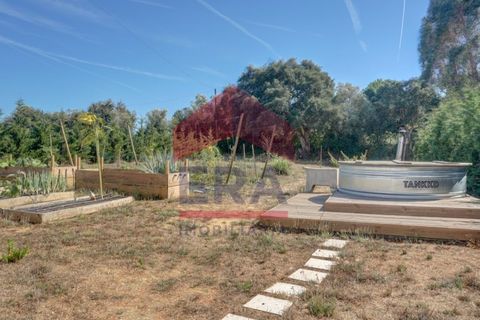 Gård i Carvalhal, Leiria, Carvalhal - € 685 000 | Ref: 150250156 - foto 23