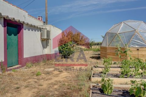 Gård i Carvalhal, Leiria, Carvalhal - € 685 000 | Ref: 150250156 - foto 24