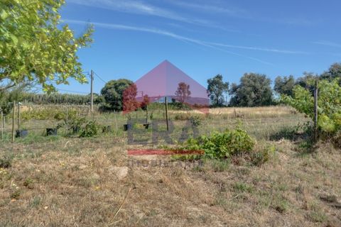 Gård i Carvalhal, Leiria, Carvalhal - € 685 000 | Ref: 150250156 - foto 25