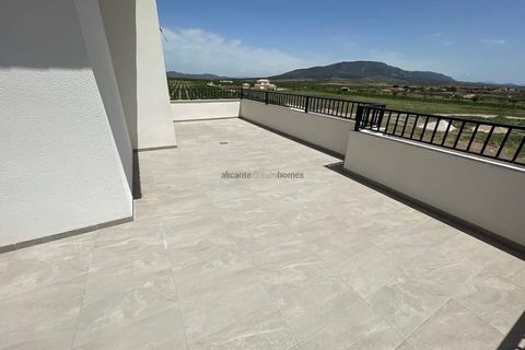 Villa i Pinoso, Alicante, Pinoso - € 505.000 | Ref: HL2025 - foto 21