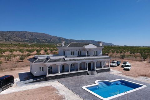 Villa i Pinoso, Alicante, Pinoso - € 547.000 | Ref: HL2019 - foto 3