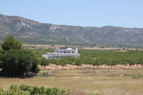 Villa i Pinoso, Alicante, Pinoso - € 547.000 | Ref: HL2019 - foto 9