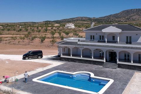 Villa i Pinoso, Alicante, Pinoso - € 547.000 | Ref: HL2019 - foto 27