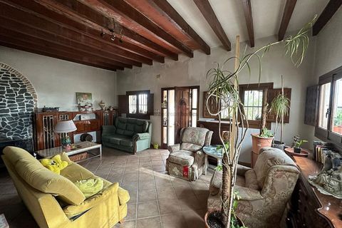 Landejendom i Novelda, Alicante, Novelda - € 399.999 | Ref: JJMA7245 - foto 2