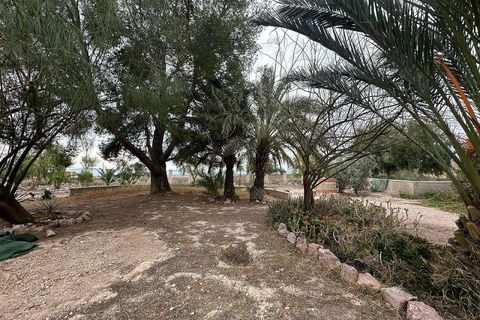 Landejendom i Novelda, Alicante, Novelda - € 399.999 | Ref: JJMA7245 - foto 22