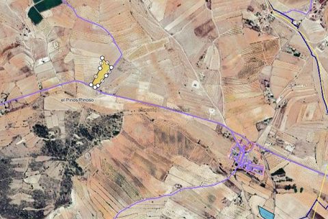 Terreno en Ubeda, Alicante, Ubeda - € 38.000 | Ref: PT3105 - photo 2