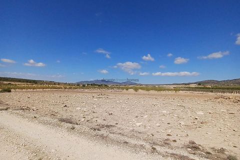 Terreno en Ubeda, Alicante, Ubeda - € 38.000 | Ref: PT3105 - photo 5