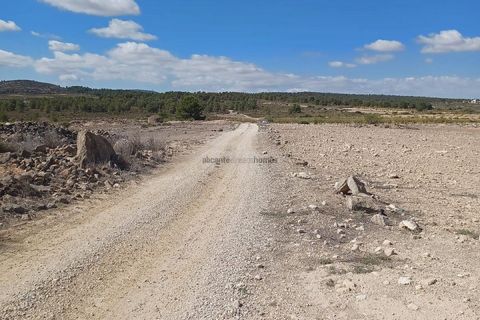 Terreno en Ubeda, Alicante, Ubeda - € 38.000 | Ref: PT3105 - photo 6
