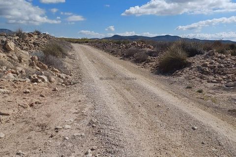 Terreno en Ubeda, Alicante, Ubeda - € 38.000 | Ref: PT3105 - photo 7