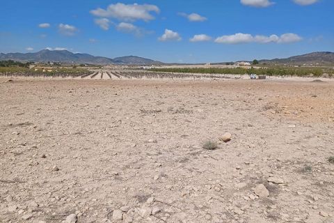 Terreno en Ubeda, Alicante, Ubeda - € 38.000 | Ref: PT3105 - photo 8