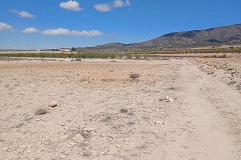 Terreno en Ubeda, Alicante, Ubeda - € 38.000 | Ref: PT3105 - photo 9