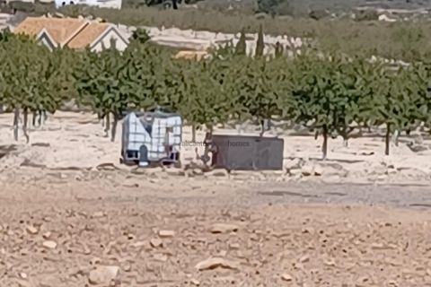 Terreno en Ubeda, Alicante, Ubeda - € 38.000 | Ref: PT3105 - photo 11