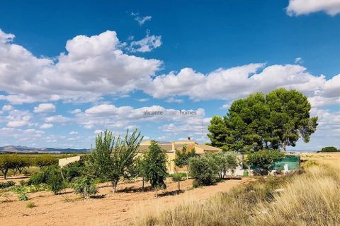 Landejendom i Yecla, Murcia, Yecla - € 275.000 | Ref: JMOD7346 - foto 32