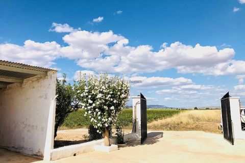 Landejendom i Yecla, Murcia, Yecla - € 275.000 | Ref: JMOD7346 - foto 33