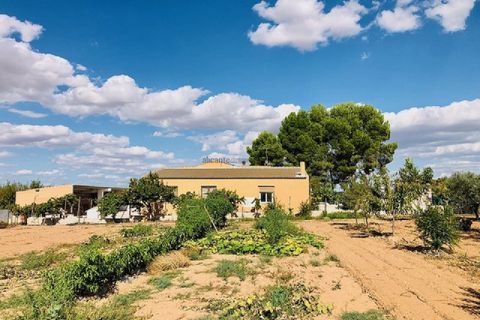 Landejendom i Yecla, Murcia, Yecla - € 275.000 | Ref: JMOD7346 - foto 40