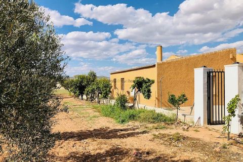 Landejendom i Yecla, Murcia, Yecla - € 275.000 | Ref: JMOD7346 - foto 41