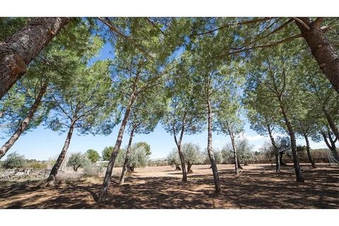 Villa em Yecla, Murcia, Yecla - € 675.000 | Ref: PA1115 - foto 5